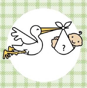 baby_stork5 asdfsdfa