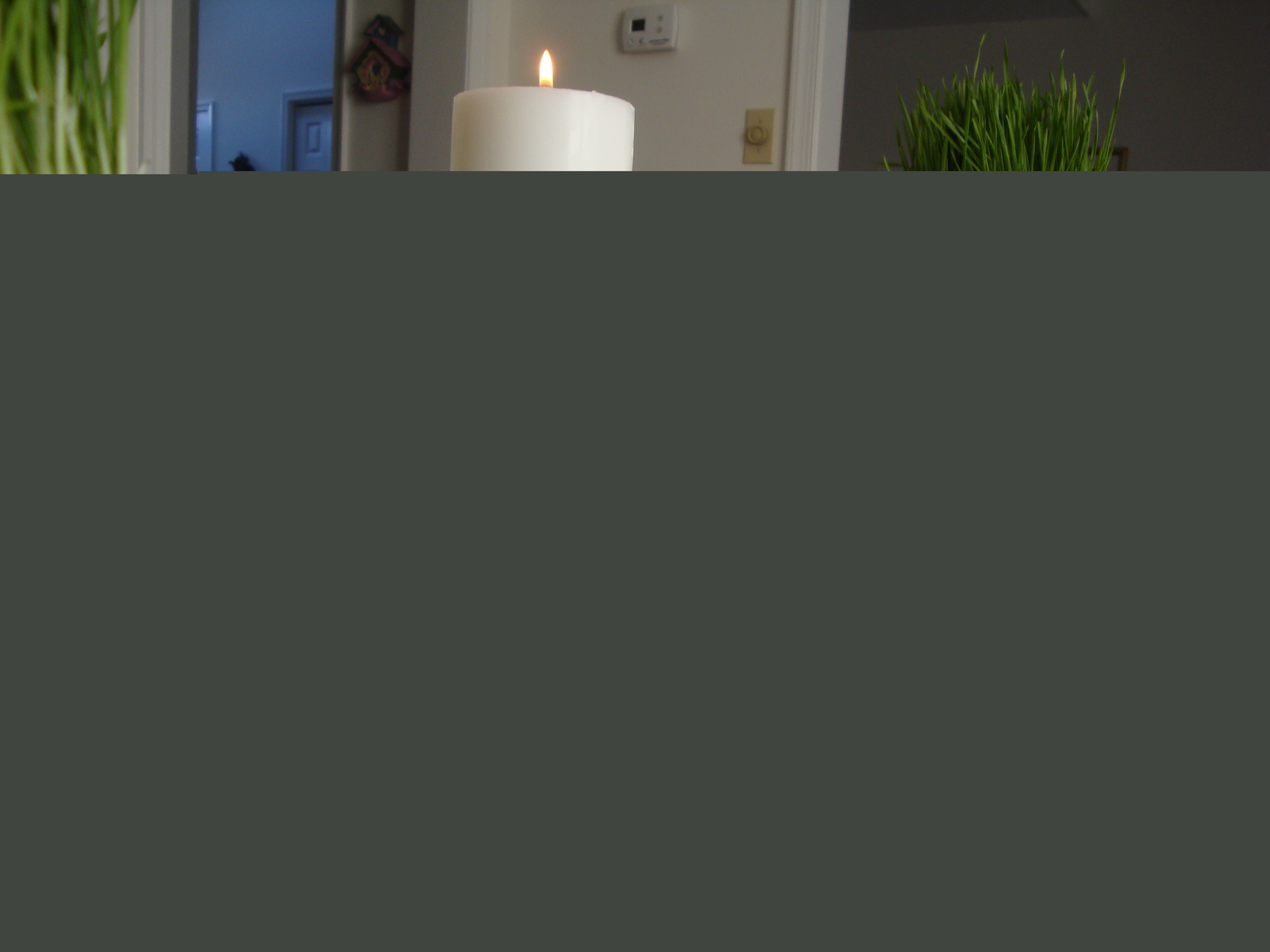 Spa Candles and Wheat Grass 
